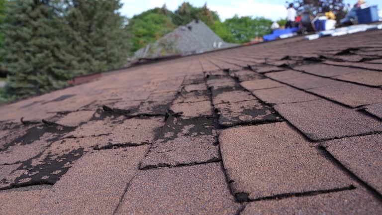 Best Chimney Flashing Repair  in De Soto, MO