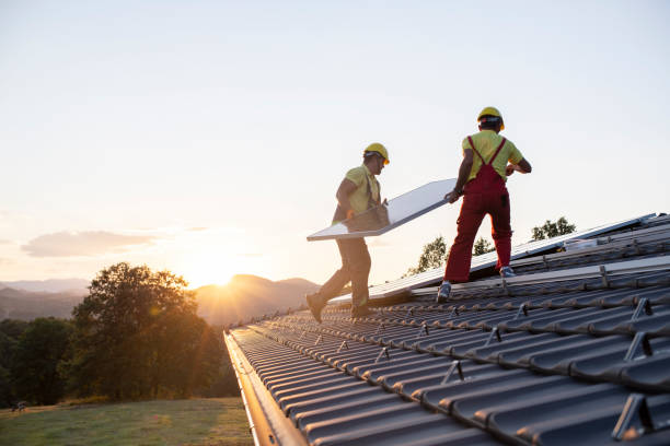 Best Skylight Installation and Repair  in De Soto, MO