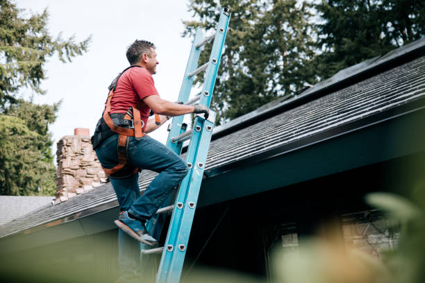 Best Roof Ventilation Installation  in De Soto, MO