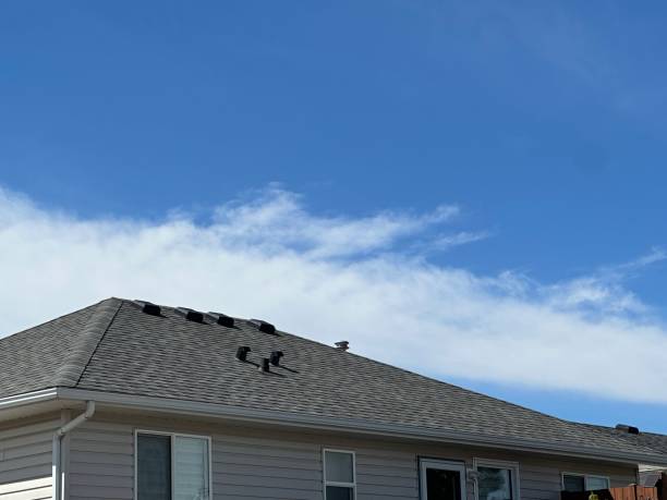 Professional Roofing Service in De Soto, MO